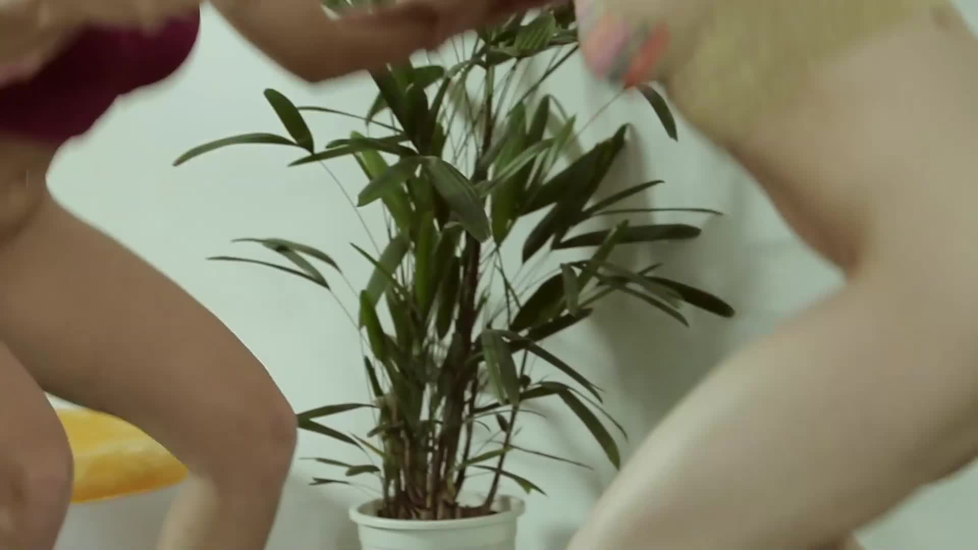 Watch Yoga lésbico brasileño Porn Video - ePornSup.
