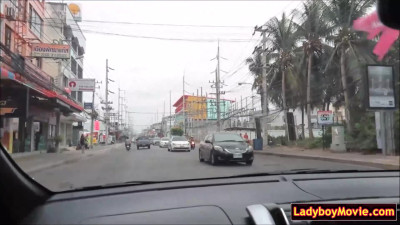 Picked up amateur ladyboy jerks off solo
