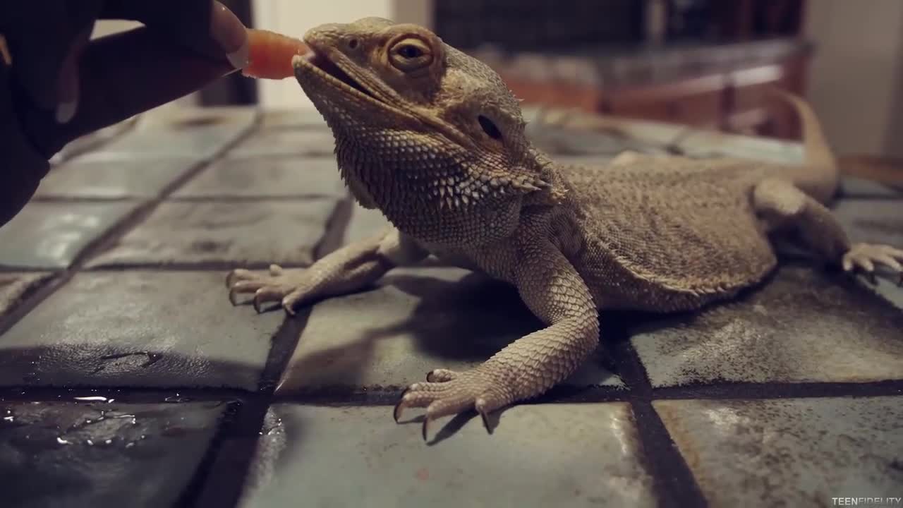 Watch Likes to sunbathe and fuck Porn Video - ePornSup.